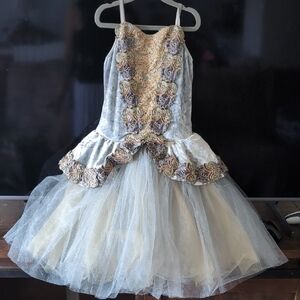 Charming Kids Dance Costume in Gold and Silver